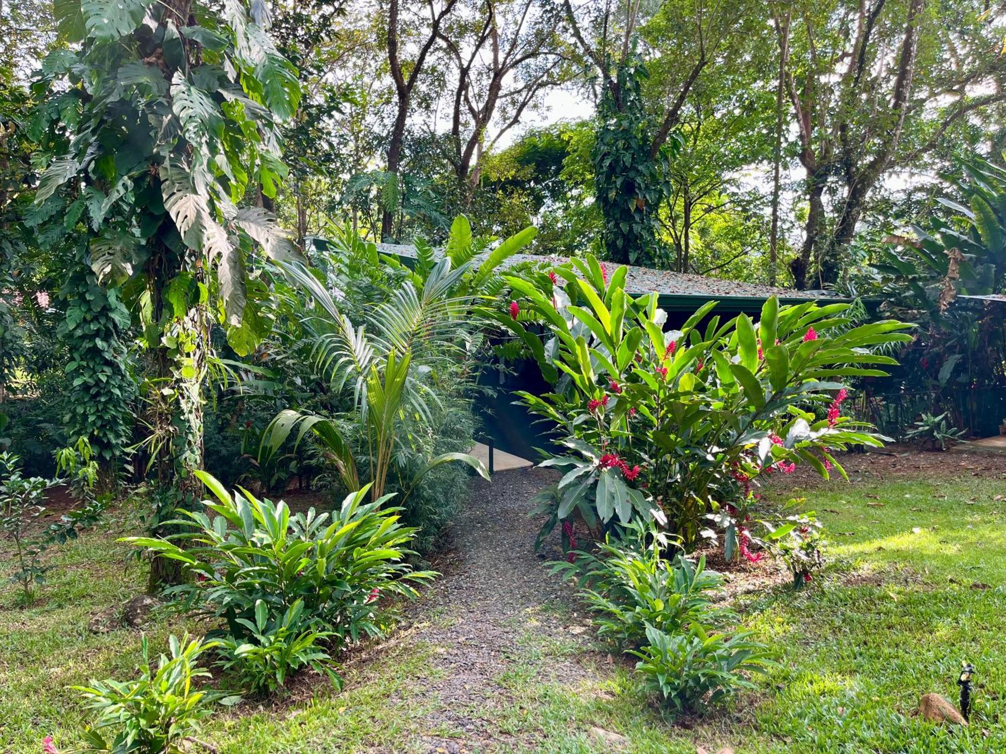 Industrial With Private Jacuzzi Apartment Uvita